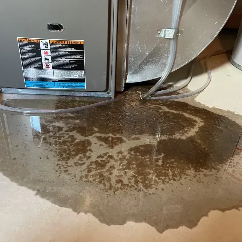 Appliance Leak Cleanup in Bay City, OR